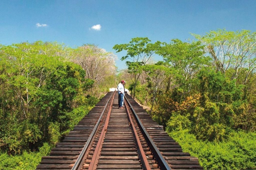 Empresas constructoras españolas se hacen cargo de los contratos del Tren Maya