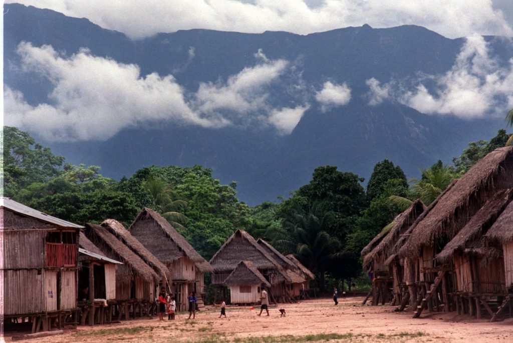 Amazonia: la lucha del pueblo Kakataibo por su territorio y su vida |  En primera línea |  Planeta futuro