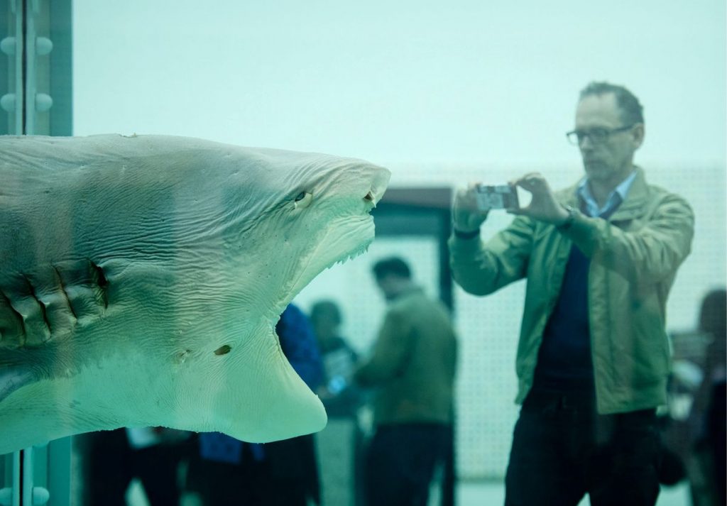 Cómo restaurar un tiburón podrido: así funciona el 'servicio postventa' de obras de arte contemporáneas |  Arte |  Diseño ICON