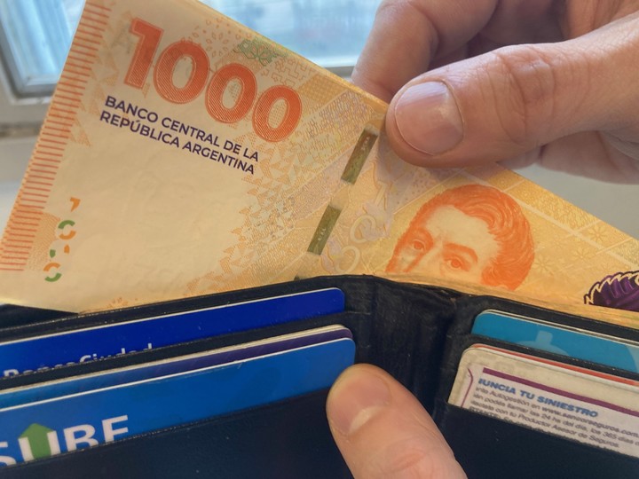 Dinero: pesos argentinos.  Foto Ariel Grinberg / Archivo.